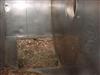 Image NIRO Type WT 28-125 Spray Dryer, Cap. 265 lbs - 18 from Bid-on-Equipment.com