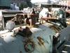 Image CLEAVER BROOKS IPT200-12 Hot Oil Boiler - 8 from Bid-on-Equipment.com