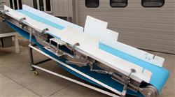 Image 36" X 160" WEILER Sanitary Blue Belt Conveyor - 1 from Bid-on-Equipment.com