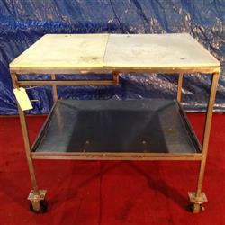 Image Stainless Steel Table On Wheels With Poly Top - 1 from Bid-on-Equipment.com