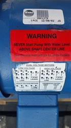 Image STERLING FLUID SYS./SIHI Pump - 7 from Bid-on-Equipment.com