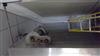 Image FRIGOSCANDIA Spiral Freezer - 215 from Bid-on-Equipment.com
