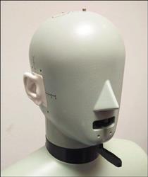 Image BRUEL AND KJAER 4128C Head and Torso Simulator-HATS - 2 from Bid-on-Equipment.com
