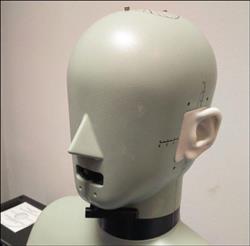 Image BRUEL AND KJAER 4128C Head and Torso Simulator-HATS - 3 from Bid-on-Equipment.com