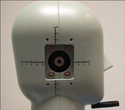 Image BRUEL AND KJAER 4128C Head and Torso Simulator-HATS - 4 from Bid-on-Equipment.com