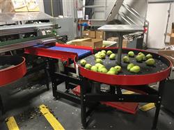 Image KW AUTOMATION Fruit Grader - 12 from Bid-on-Equipment.com