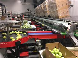 Image KW AUTOMATION Fruit Grader - 13 from Bid-on-Equipment.com