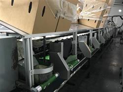 Image KW AUTOMATION Fruit Grader - 14 from Bid-on-Equipment.com