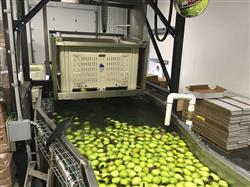 Image KW AUTOMATION Fruit Grader - 3 from Bid-on-Equipment.com