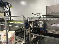 Image KW AUTOMATION Fruit Grader - 5 from Bid-on-Equipment.com