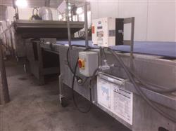 Image DANISH FOOD EQUIPMENT Delta Three Convection Oven Indirect Fired Tunnel Oven - 3 from Bid-on-Equipment.com