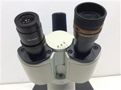 Image LEICA 090-135.001 Inverted Microscope - 2 from Bid-on-Equipment.com