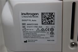 Image LIFE TECHNOLOGIES AMAFD1000 EVOS FL Auto Imaging System - 2 from Bid-on-Equipment.com