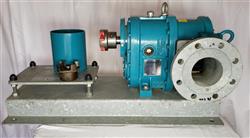 Image BORGER, BOERGER Rotary Lobe Pump - 1 from Bid-on-Equipment.com