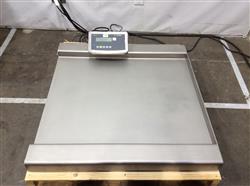 Image SARTORIUS IFS4-300LI-I Floor Scale - 1 from Bid-on-Equipment.com