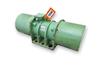 Image 5.3 HP SCHENCK PROCESS FRIEDRICH Standard 6 Pole Electric Vibrator - F Series - 1 from Bid-on-Equipment.com