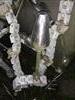 Image Lot of 10 Chicken / Poultry Restraining Cones - 1 from Bid-on-Equipment.com