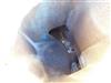 Image NASH CL6002 G Vacuum Pump - 10 from Bid-on-Equipment.com