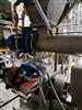 Image PAVAN Pasta Press - 500 kg/h - 4 from Bid-on-Equipment.com