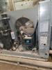 Image BALLY Condensing Unit - 7 from Bid-on-Equipment.com
