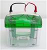 Image BIO RAD Mini PROTEAN Tetra Cell Electrophoresis System - 1 from Bid-on-Equipment.com