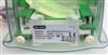 Image BIO RAD Mini PROTEAN Tetra Cell Electrophoresis System - 2 from Bid-on-Equipment.com