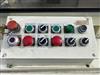 Image SWF MCDOWELL MDP-703-1 LH Case Packer with Laner - 12 from Bid-on-Equipment.com