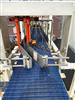 Image SWF MCDOWELL MDP-703-1 LH Case Packer with Laner - 9 from Bid-on-Equipment.com