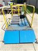 Image BLUE GIANT Hydraulic Stationary Elevating Dock Lift - 4 from Bid-on-Equipment.com