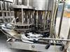 Image ELMAR 36/16 Piston Filler with ZALKIN Capper - 8 from Bid-on-Equipment.com