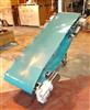 Image 22in X 86in WIELAND ENGR. Inclined Troughing Blue Belt Conveyor - Sanitary - 1 from Bid-on-Equipment.com