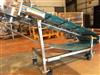 Image 22in X 86in WIELAND ENGR. Inclined Troughing Blue Belt Conveyor - Sanitary - 3 from Bid-on-Equipment.com