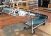 Image 22in X 86in WIELAND ENGR. Inclined Troughing Blue Belt Conveyor - Sanitary - 4 from Bid-on-Equipment.com