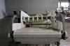 Image Frozen Block Conveyor - New - 3 from Bid-on-Equipment.com