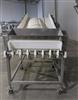Image Frozen Block Conveyor - New - 1 from Bid-on-Equipment.com