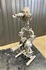 Image WILDEN SANIFLO XSD1-1/2 Diaphragm Pump with Surge Dampener - 5 from Bid-on-Equipment.com