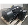 Image 300 HP TOSHIBA 3K4300L171123 TEFC Motor - Unused - 5 from Bid-on-Equipment.com