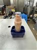 Image KUGLER Linoline EX Monoblock Filler and Capper - 18 from Bid-on-Equipment.com