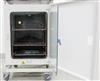 Image THERMO SCIENTIFIC HERAcell 150i CO2 Incubator - 5 from Bid-on-Equipment.com
