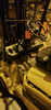 Image 12000 Lb. YALE GLC 120MJ  Forklift - 3 from Bid-on-Equipment.com