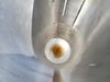 Image Approximately 800 Gallon Jacketed / Insulated Tank - Stainless Steel - 2 from Bid-on-Equipment.com