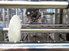 Image SCHOLLE IPN Surefill 12 Bag in Box Filler - 8 from Bid-on-Equipment.com