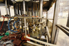 Image 24 Head BINER ELLISON F-52 TDG 24SS Bottle Filler - 9 from Bid-on-Equipment.com