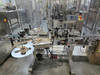 Image PACK LEADER PL 252 Carton Sealing and Labeling Machine - 1 from Bid-on-Equipment.com