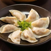 Image ANKO HLT-700XL Dumpling, Samosa and Perogi Form Filler - 17 from Bid-on-Equipment.com