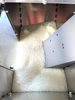 Image NORDSON ProBlue 10 Glue Unit with Stainless Bulk Feeder Frame - 8 from Bid-on-Equipment.com