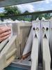 Image NETZSCH 630/26 Filter Press  24in X 24in Filter Plates - 16 from Bid-on-Equipment.com