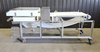 Image FORTRESS Phantom Metal Detector with Belt Conveyor and Pneumatic Rejector - 11 from Bid-on-Equipment.com