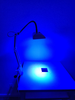 Image NATUS neoBLUE mini LED Phototherapy Light Bilirubin with Table Clamp - 10 from Bid-on-Equipment.com